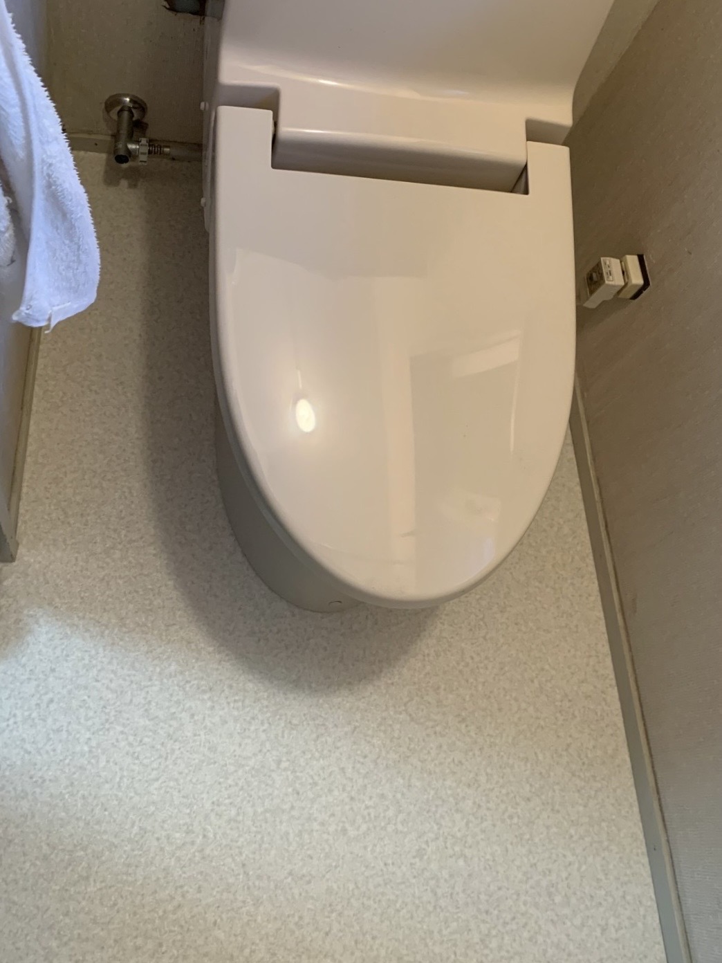 トイレ床補修・白蟻防除工事 画像